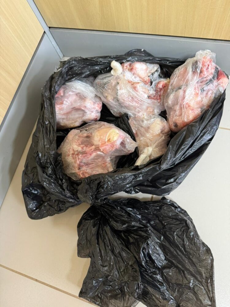 PF mira caça ilegal dentro do Parque Nacional do Iguaçu e apreende armas e carne de peixe