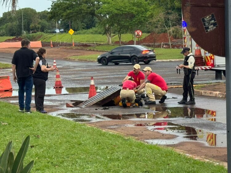Cachorrinho é resgatado de bueiro na aduana de Foz do Iguaçu