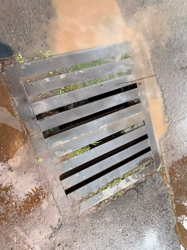 Cachorrinho é resgatado de bueiro na aduana de Foz do Iguaçu