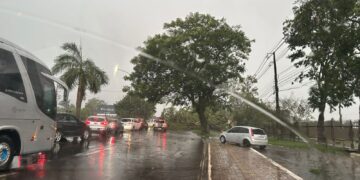 Temporal provoca quedas de árvores, alagamentos e deixa 10 mil imóveis sem luz em Foz