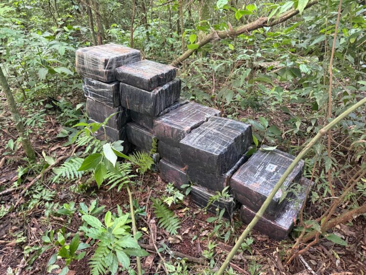Forças de segurança apreendem quase 1 tonelada de maconha