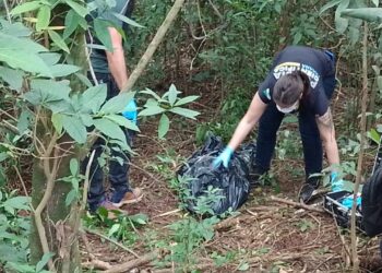 Corpo é encontrado embalado em área de mata na região do Jardim Europa