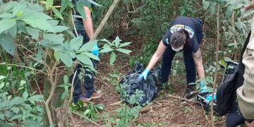 Corpo é encontrado embalado em área de mata na região Leste de Foz do Iguaçu