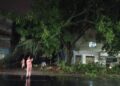 Defesa Civil segue em alerta; tempestade causa quedas de árvores e destelhamentos