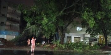Defesa Civil segue em alerta; Tempestade causa quedas de árvores e destelhamentos