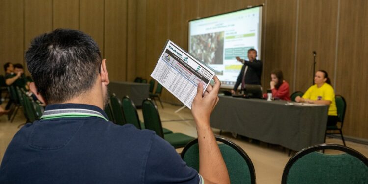 Itaipu leiloa 53 casas desocupadas na Vila A em novo certame público