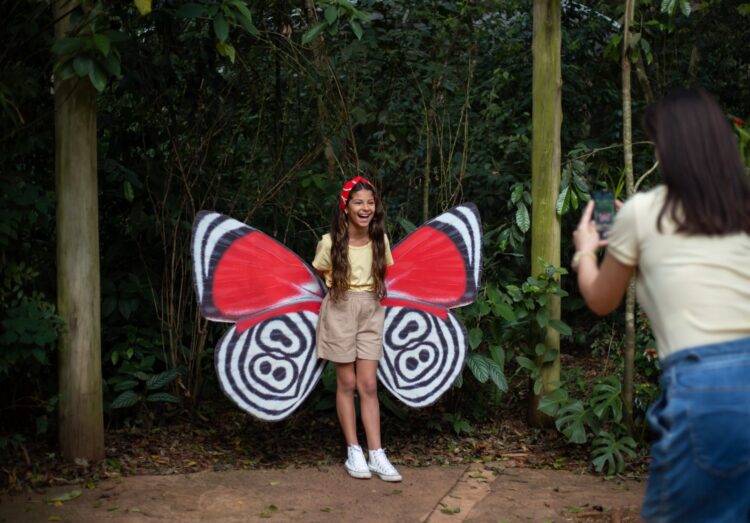 Parque das Aves promove observação gratuita de borboletas