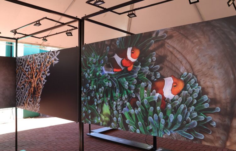 Parque Nacional do Iguaçu amplia horário e lança atrações culturais para o feriadão