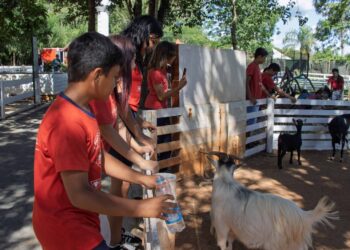 Adolescentes da AFA vivem dia de magia e aprendizado no Complexo Dreams Park Show