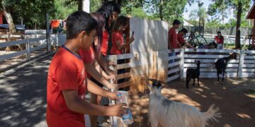 Adolescentes da AFA vivem dia de magia e aprendizado no Complexo Dreams Park Show