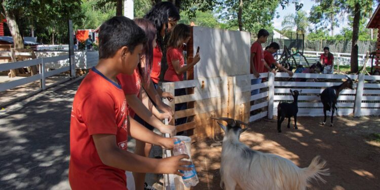 Adolescentes da AFA vivem dia de magia e aprendizado no Complexo Dreams Park Show