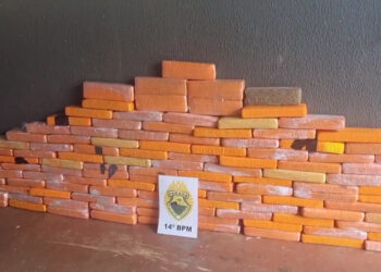 Pitbull “guardava” esconderijo com 94 kg de maconha na Favela do Monsenhor Guilherme