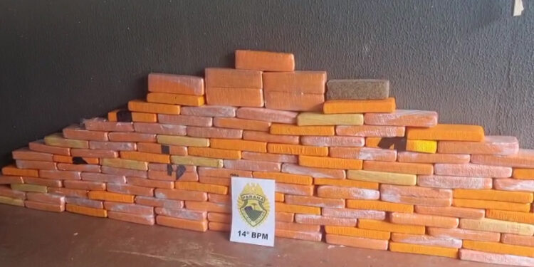 Pitbull “guardava” esconderijo com 94 kg de maconha na Favela do Monsenhor Guilherme