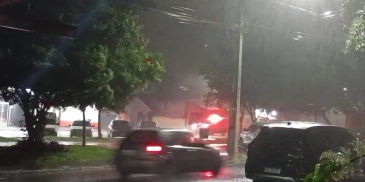 Defesa Civil segue em alerta; Tempestade causa quedas de árvores e destelhamentos