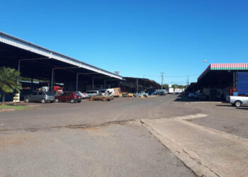 Ceasas do Paraná terão horários especiais nos feriados de novembro