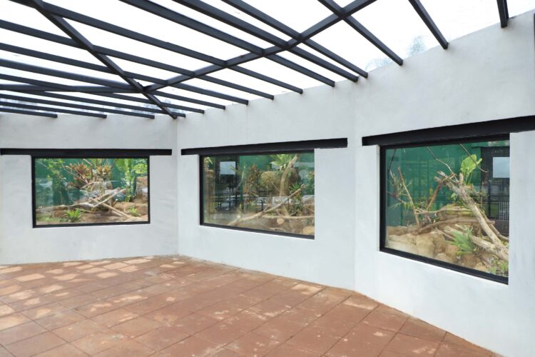 AquaFoz é inaugurado e coloca a cidade entre os maiores aquários da América do Sul