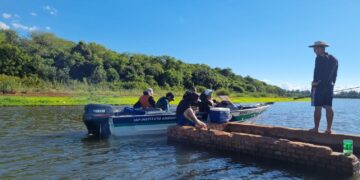 Piracema: começa o período de proibição da pesca de espécies nativas no Rio Paraná