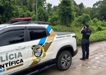 Ossada humana é encontrada por trabalhadores na região da Mata Verde