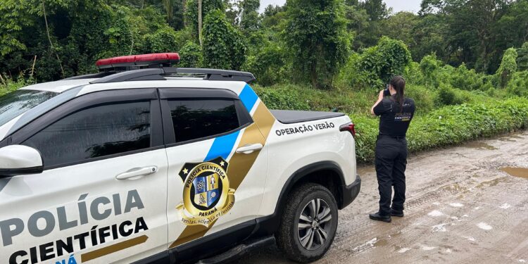 Ossada humana é encontrada por trabalhadores na região da Mata Verde