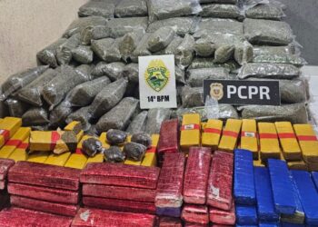 Ação integrada apreende quase 300 quilos de drogas na região