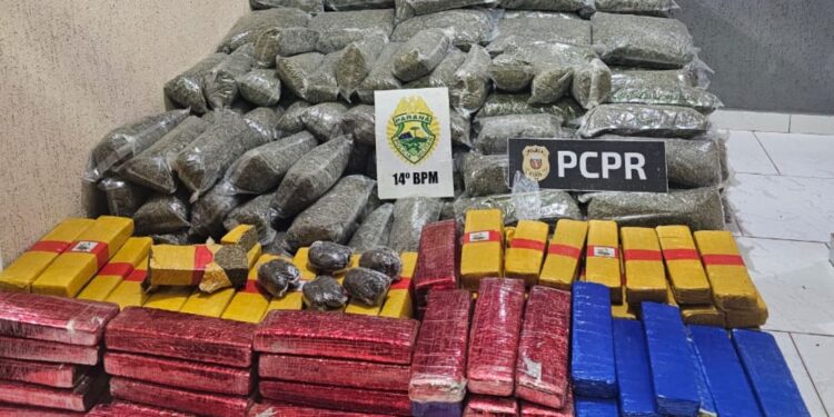 Ação integrada apreende quase 300 quilos de drogas na região