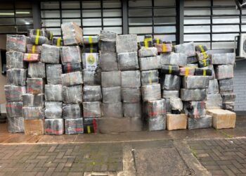 Polícia apreende quase 5 toneladas de maconha