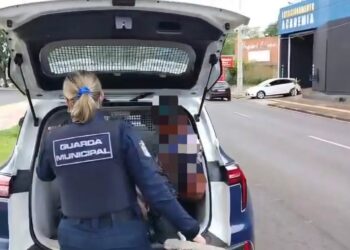 Guarda Municipal impede furto de cabos de iluminação na Avenida JK