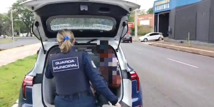 Guarda Municipal impede furto de cabos de iluminação na Avenida JK