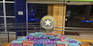 Receita Federal retém mais de 93 kg de drogas em abordagem na BR-277