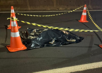 Pedestre morre após ser atropelado duas vezes na BR-277 em Medianeira