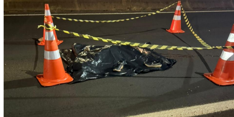 Homem morre atropelado na BR-277 em Medianeira