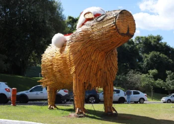 Observatório Social chama atenção para valores pagos pela locação de enfeites do Natal