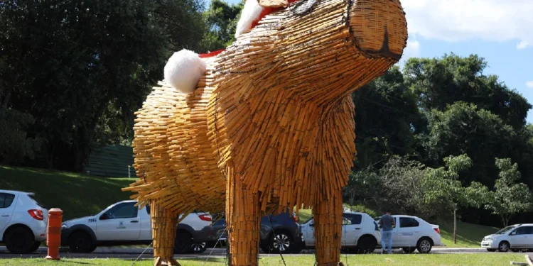 Observatório Social chama atenção para valores pagos pela locação de enfeites do Natal