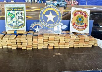 Receita Federal apreende quase 100 kg de maconha na Ponte da Amizade