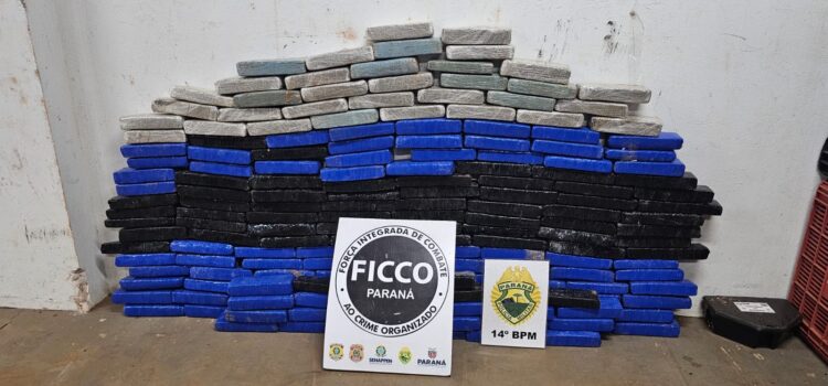 Ação integrada apreende 105 kg de maconha em residência usada como depósito em Foz do Iguaçu