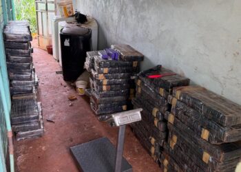 Operação conjunta encontra dois depósitos e apreende carga gigante de maconha em Santa Helena