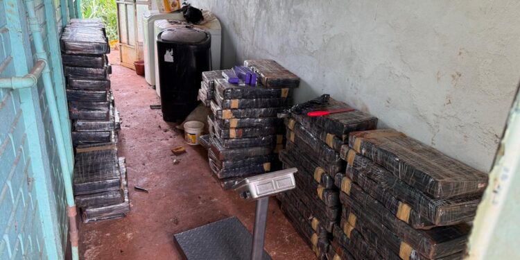 Operação conjunta encontra dois depósitos e apreende carga gigante de maconha em Santa Helena