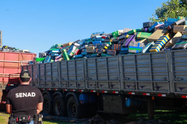 Apreensão histórica de maconha é realizada por forças de segurança do Paraguai na fronteira