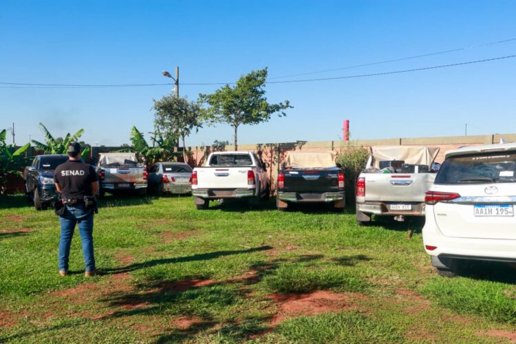 Apreensão histórica de maconha é realizada por forças de segurança do Paraguai na fronteira