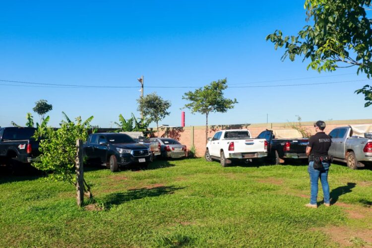 Apreensão histórica de maconha é realizada por forças de segurança do Paraguai na fronteira