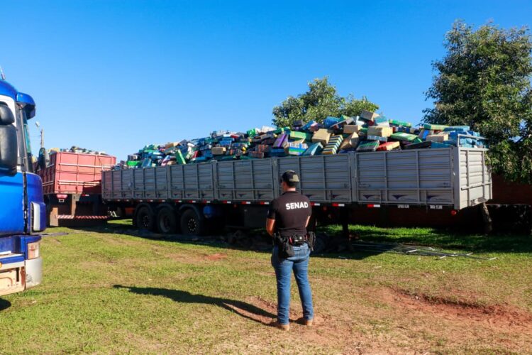 Apreensão histórica de maconha é realizada por forças de segurança do Paraguai na fronteira