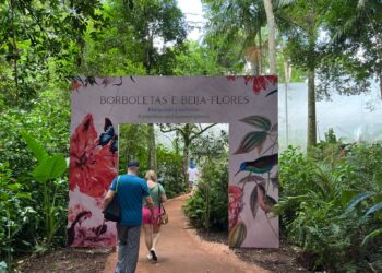 Parque das Aves realiza liberação de borboletas e convida famílias a vivenciar a metamorfose de perto