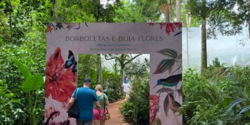 Parque das Aves realiza liberação de borboletas e convida famílias a vivenciar a metamorfose de perto