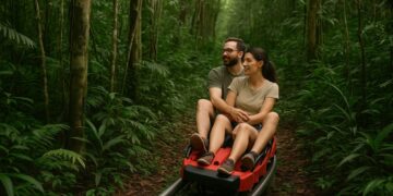 Parque Nacional do Iguaçu deve ter trenó de floresta em novo circuito de aventuras