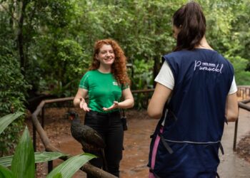 Parque das Aves abre programação de férias com experiências imersivas e grande público
