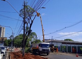 Após corte de árvore Avenida JK já está desbloqueada