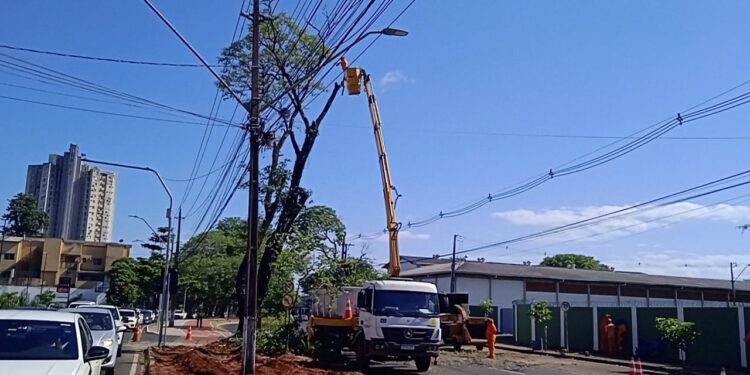 Após corte de árvore Avenida JK já está desbloqueada