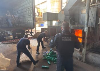 PF incinera mais de 8 toneladas de drogas apreendidas na tríplice fronteira