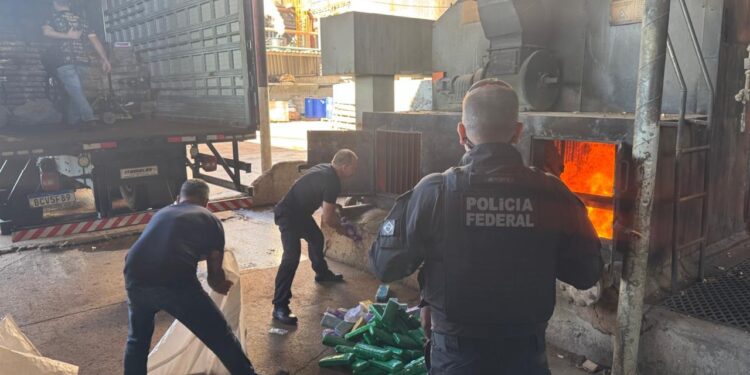 PF incinera mais de 8 toneladas de drogas apreendidas na tríplice fronteira