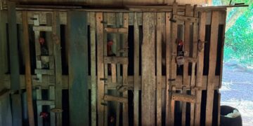 PF intensifica combate a crimes ambientais no Parque Nacional do Iguaçu